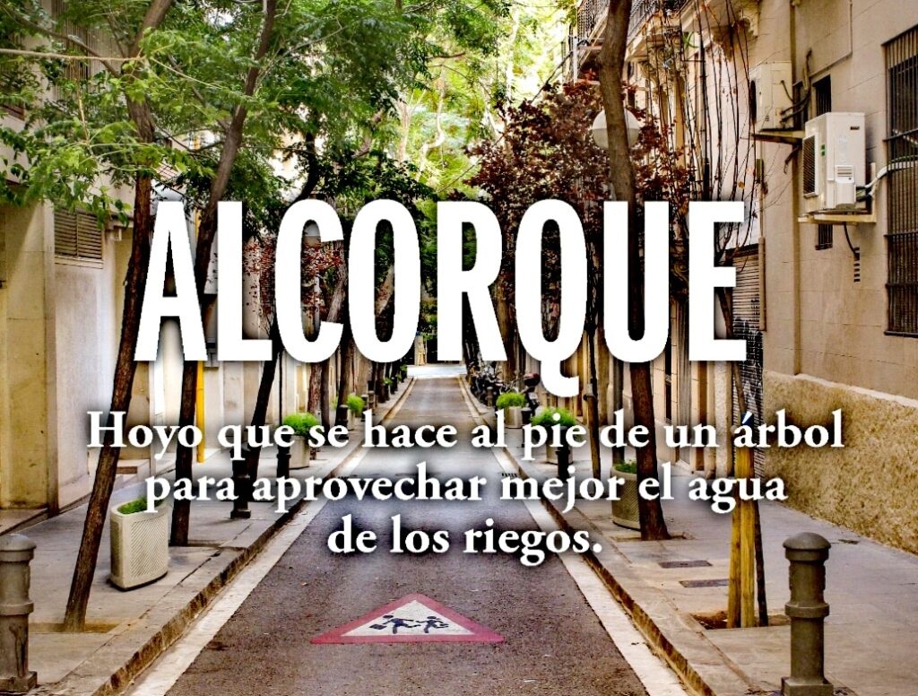 🌳Alcorques Verdes 🌳